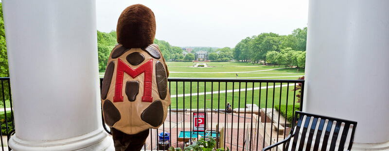 welcome terps lawn sign
